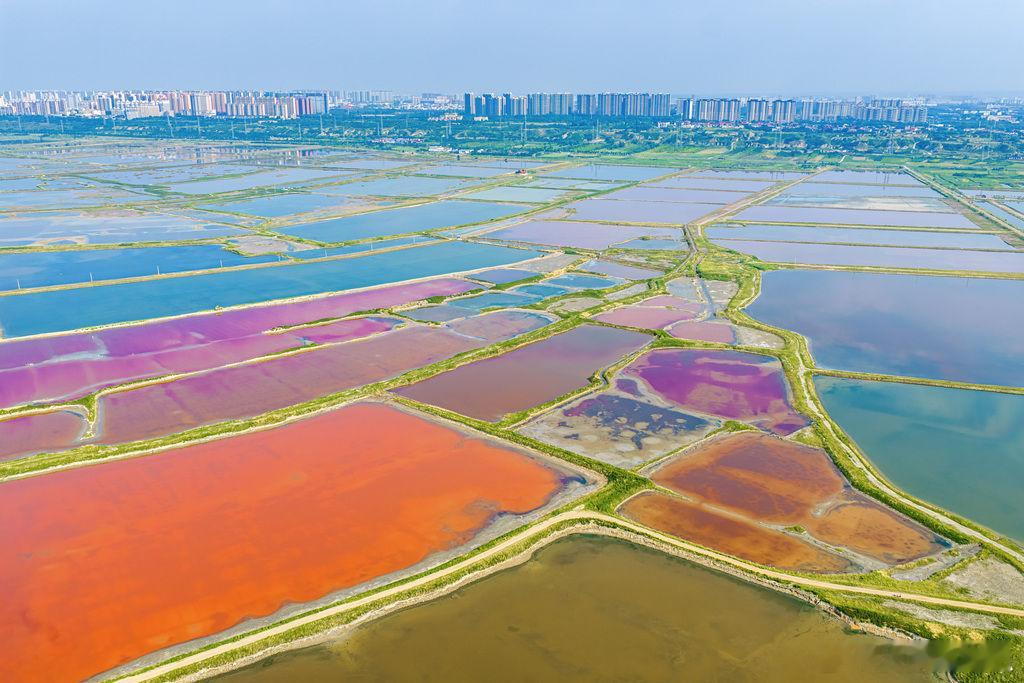 情感社区 【美丽家乡 山西运城——盐湖七彩 廊道寻幽】       夏日里，山西