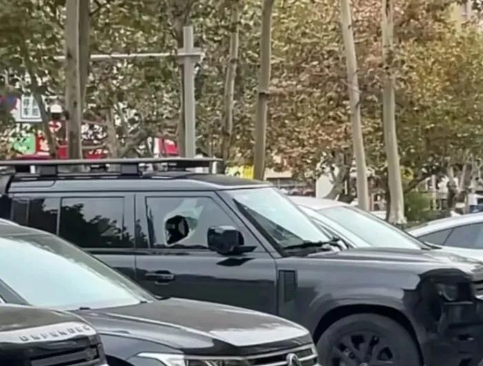 近日，即墨区出现了一帮砸车盗贼！他们专挑豪车作案，砸车玻璃盗取财物，相当猖狂，他
