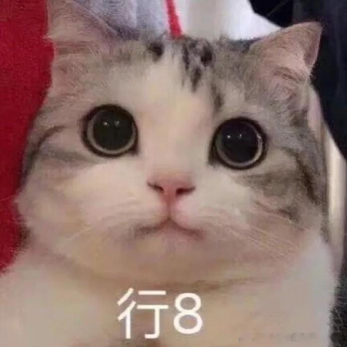 人一旦有了游戏搭子原本打游戏是随心消遣，有了固定搭子反倒像打卡上班，偶尔想独自悄