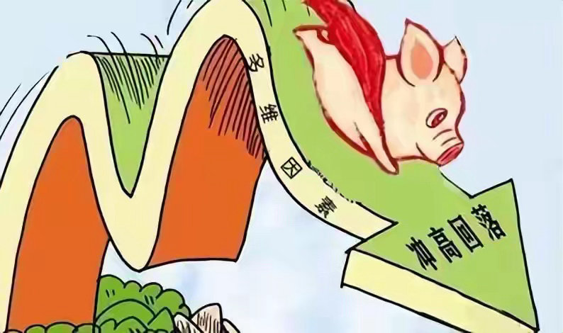 猪价反弹熄火！仔猪大跌40-60元/头！8月涨价行情又要落空？猪价反弹又熄火了！