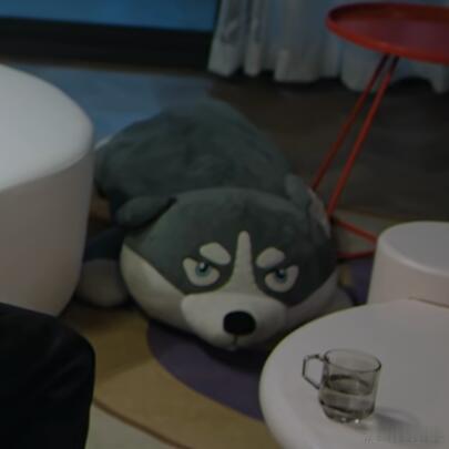 这段看了十来遍才注意到右下角的大狗狗姐姐这六年里你也没少想念小狗吧虽然但是这狗好