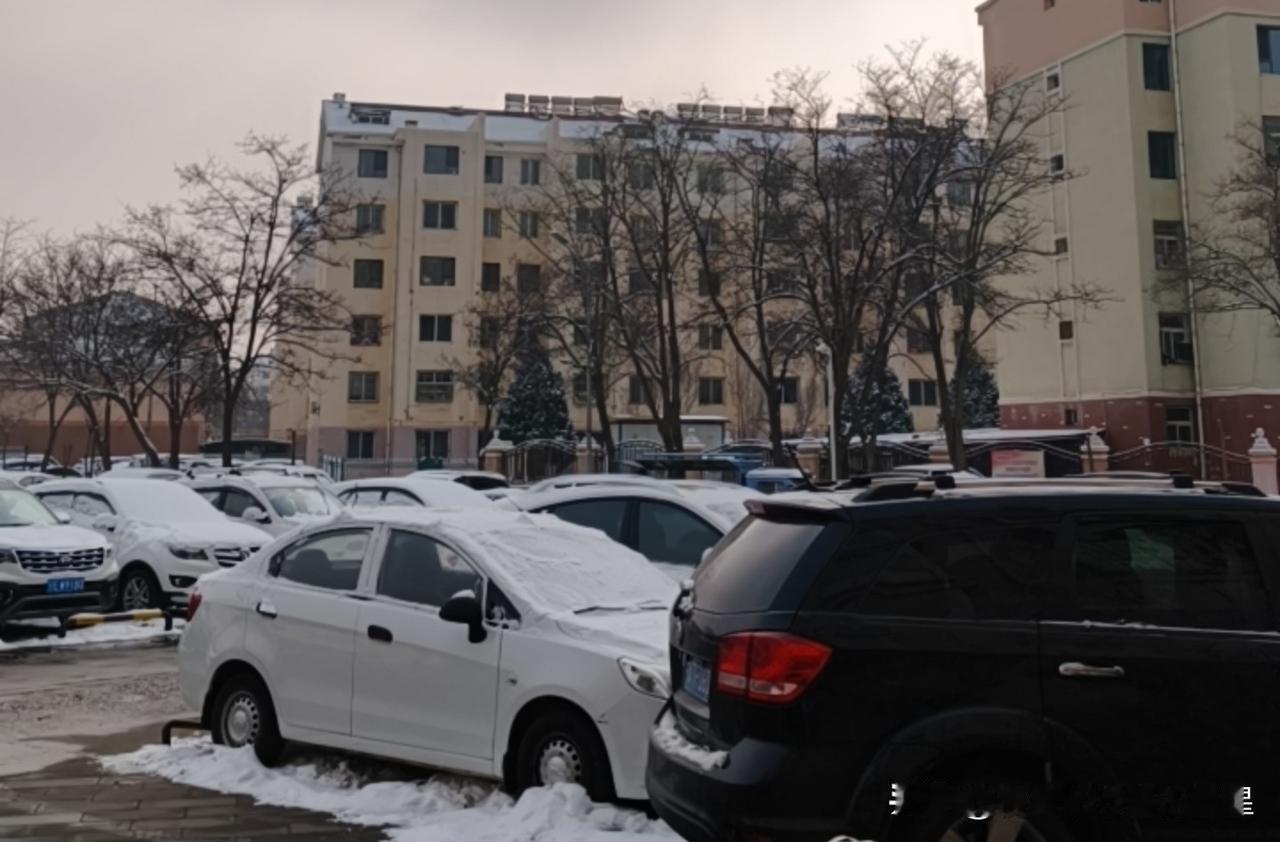 雪后停车区的日常，老小区的烟火气藏不住了
 
雪刚化了一半，小区停车区这场景也太