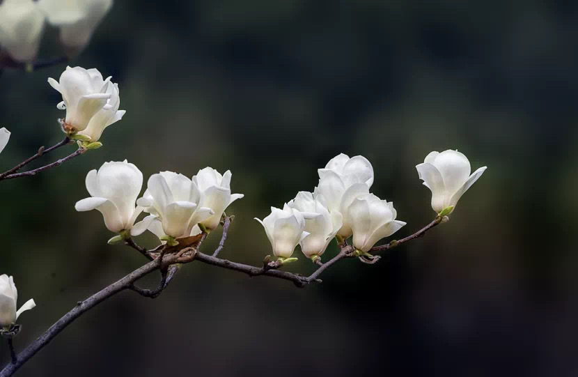 踏踏实实的做事，要的是坚持到底；本本分分的做人，求得是无愧于心！生命很短，请活好