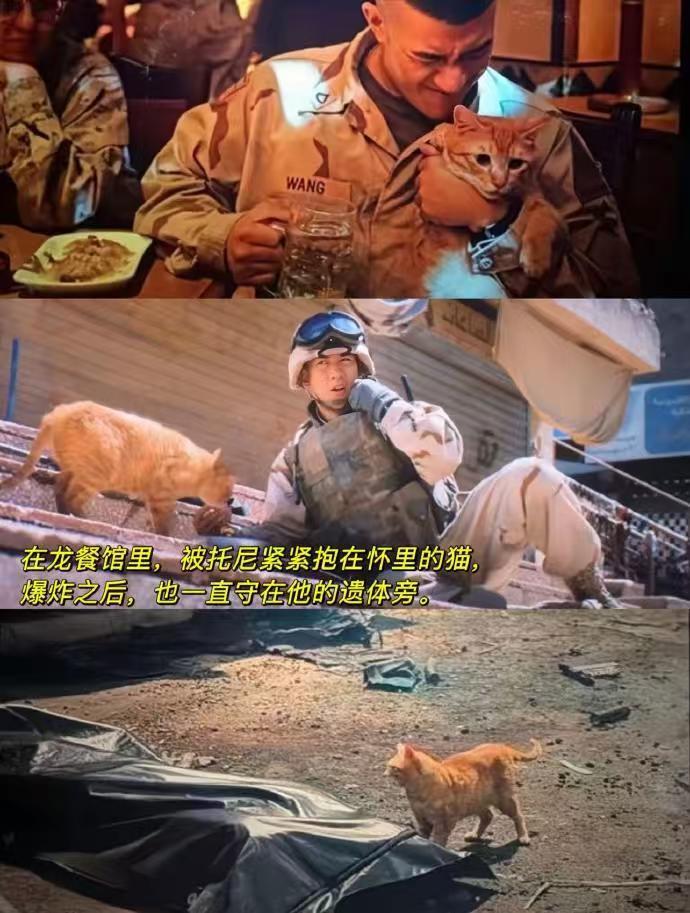 沈腾要美食不要战争 看完沈腾谈徐福，心里五味杂陈。硝烟弥漫的时代，能够吃上一口热