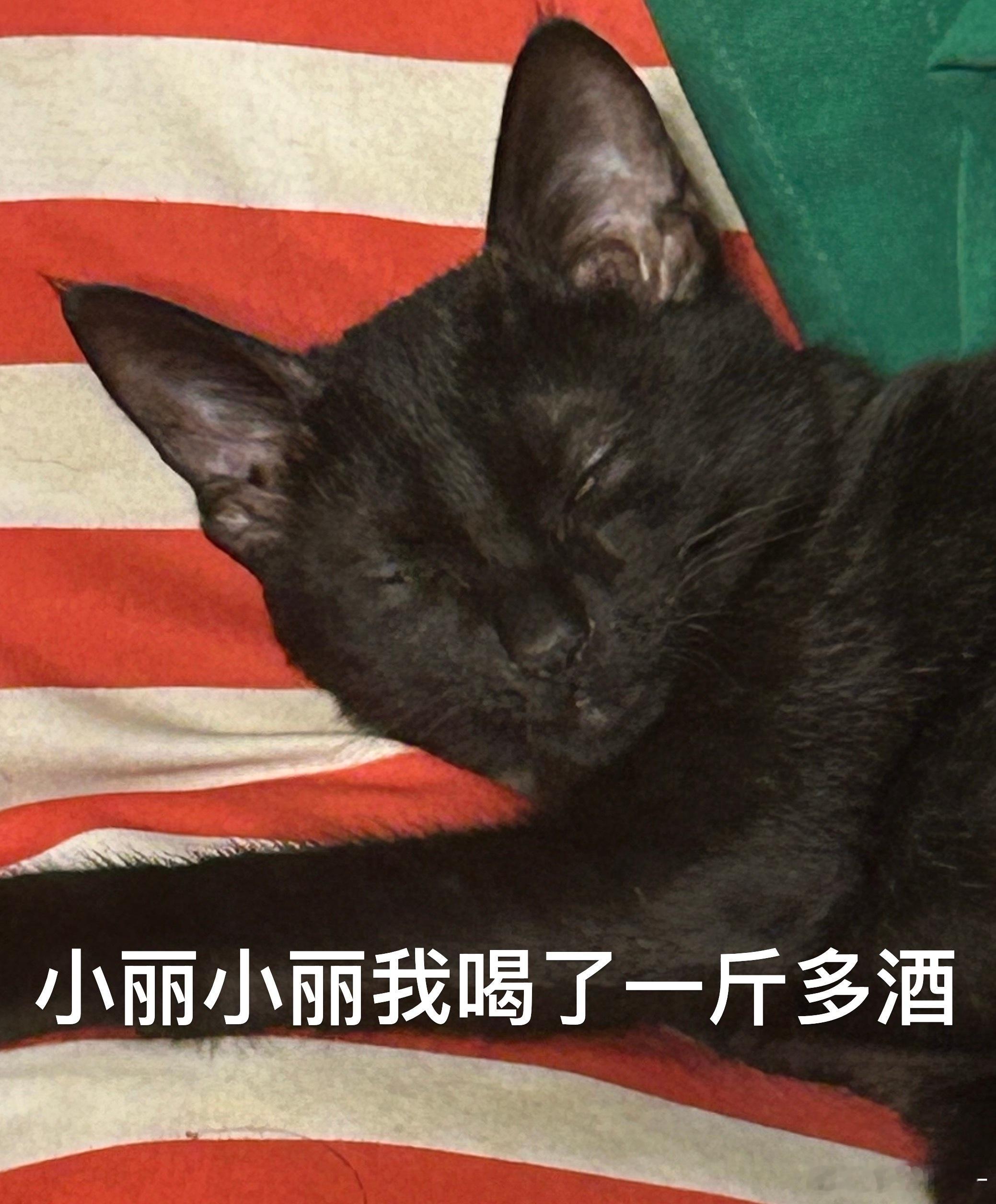 皮蛋真丑！ 