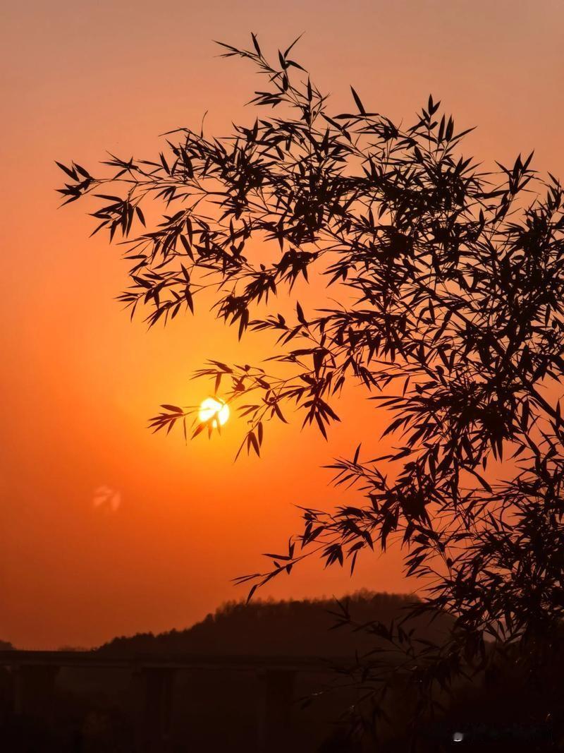夕阳无限美。
我们虽然已到暮年，但是我觉得夕阳的余晖依然能照亮大地。
人的一生每