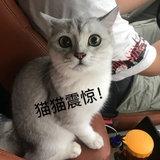 大舞爱聊娱乐