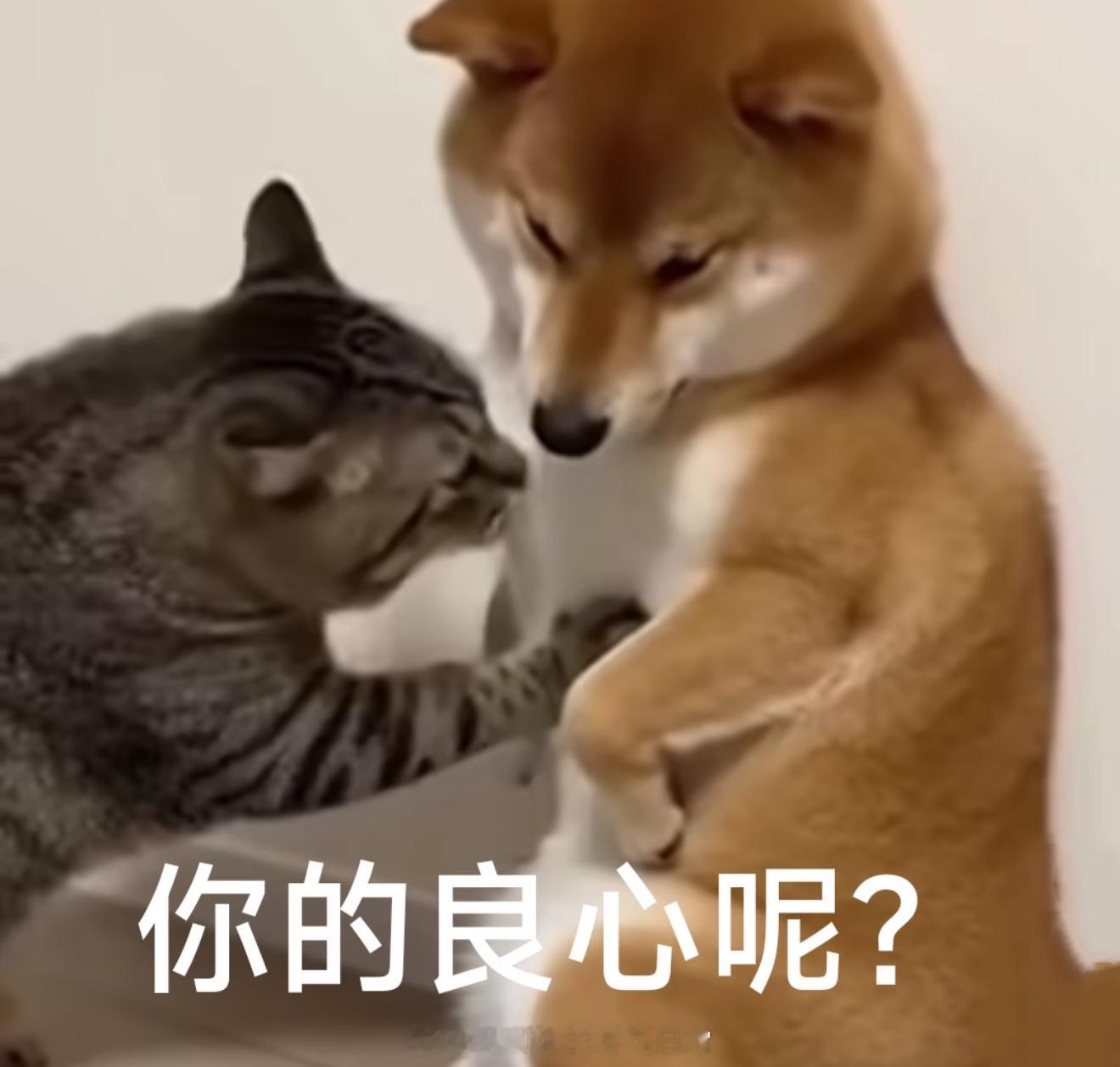 苏泊尔 擦边好好做产品不行吗？老牌厨具品牌偏偏靠擦边视频引流，事发后沉默删帖，转