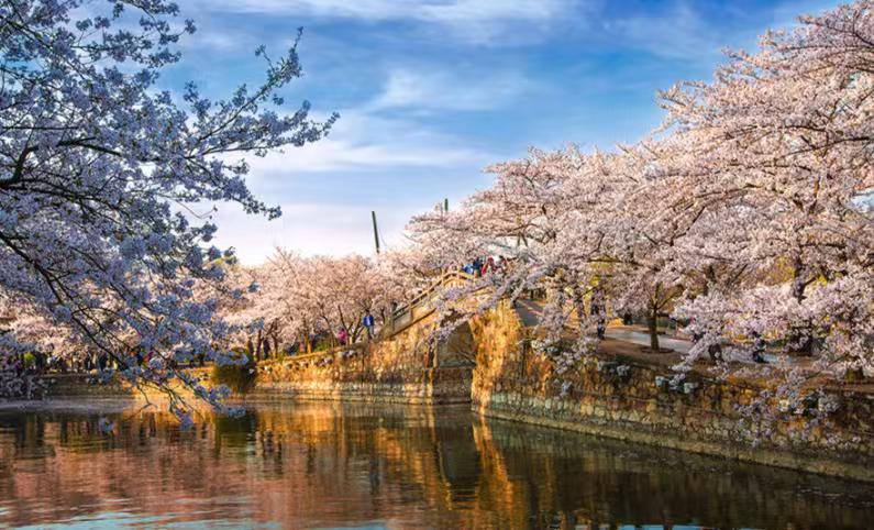 十大清明假期热门景点排行榜

清明假期恰逢春和景明，既是踏青赏花、缅怀先祖的时节