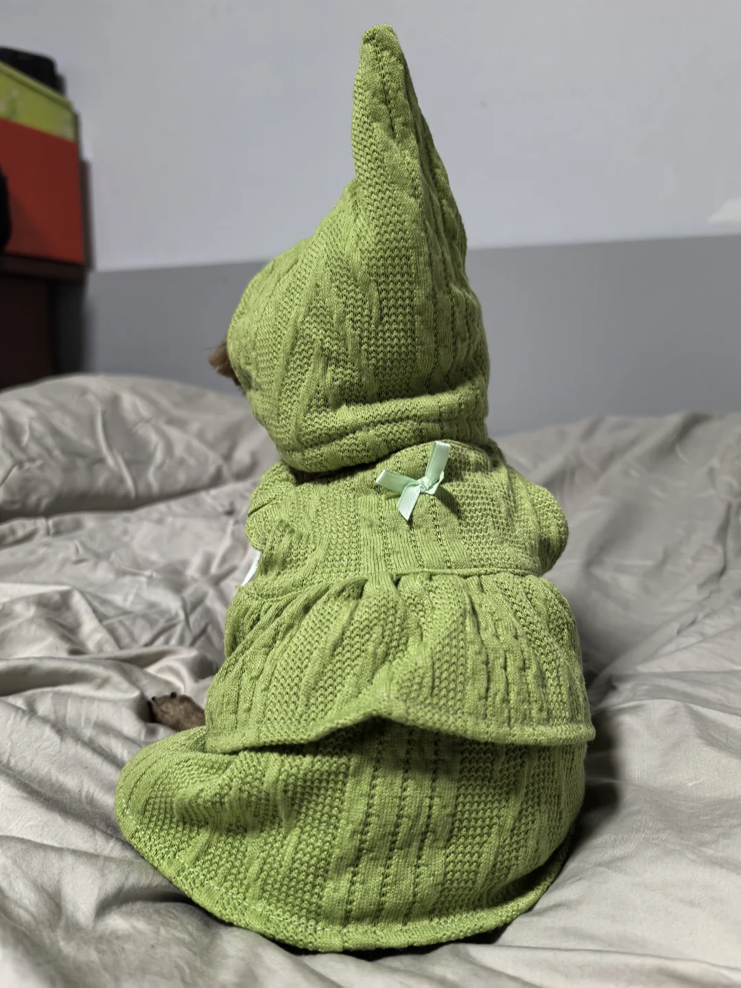 有些小狗穿上衣服之后就不认识了