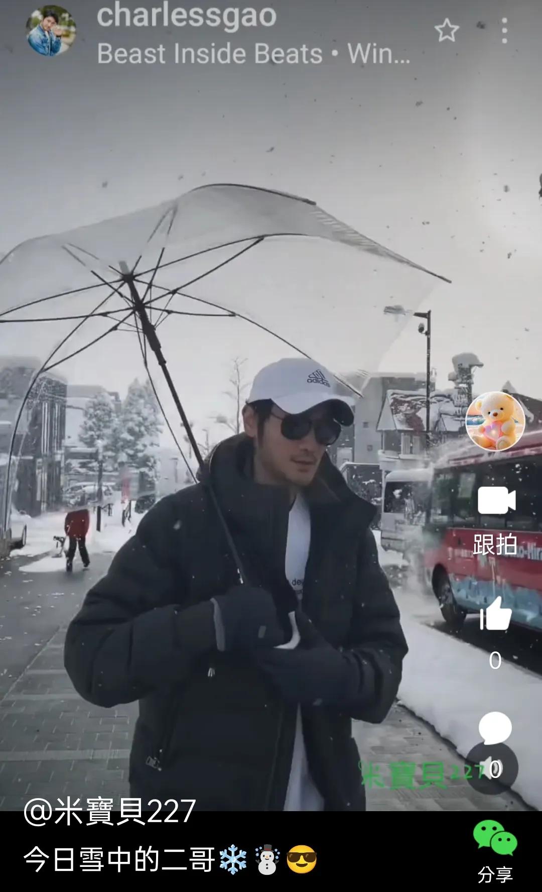 雪中的二哥😎☃️

🍄影片在小視頻裡