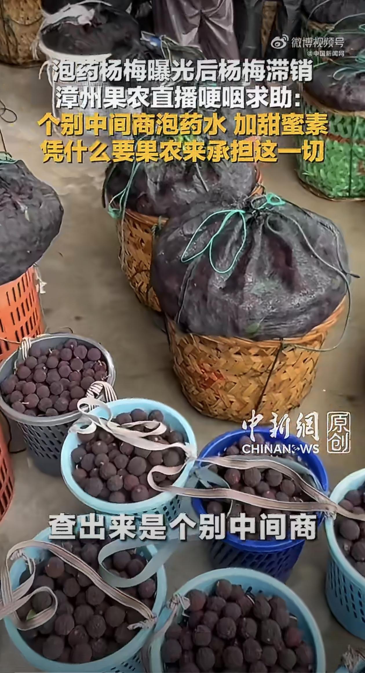 福建漳州杨梅的事儿曝光之后，整个产业跟坐过山车似的，直接从顶峰掉进了冰窟窿。
 