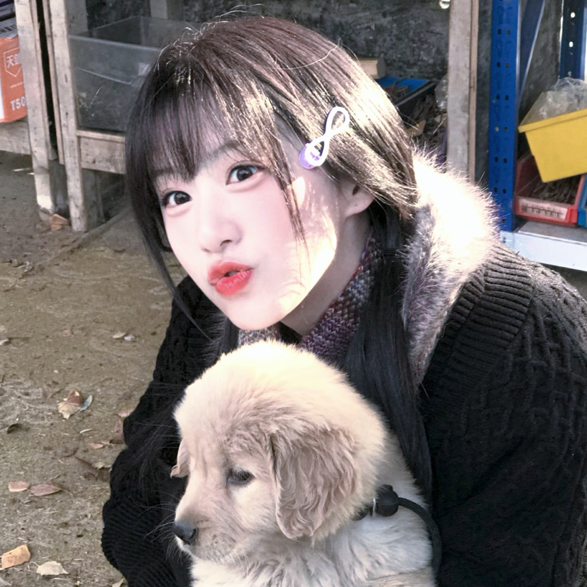 包上恩  💛 包上恩江湖夜雨十年灯 💛包上恩蔡昭季节轮变 我们不变 希望你不