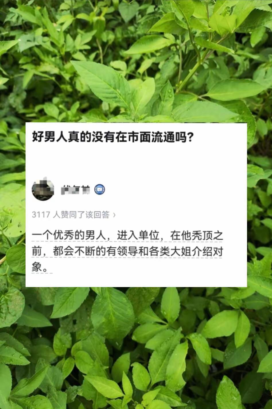 好男人真的没有在市面流通吗？