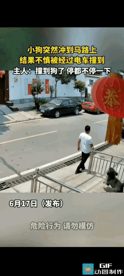 我看了三次，
小狗有什么损伤吗？