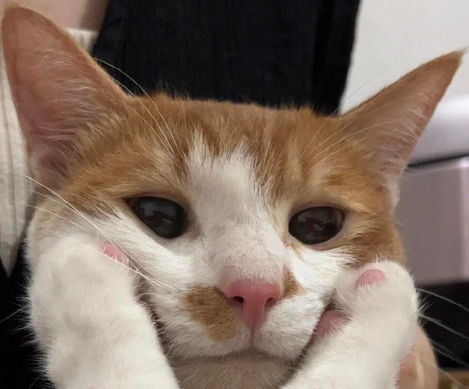 山姆被指多款商品货源与小象趋同哪家便宜就买哪个 