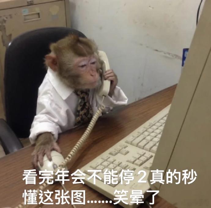 最尊重猴的剧组出现了 咱就是说，这剧组是不是在演我？看着猴子在工位上发呆，那股子