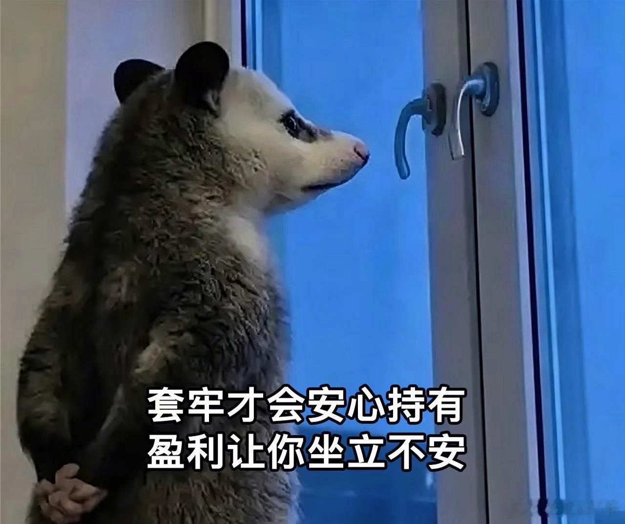 本来打算休息睡觉，看到很多人说明天行情会走弱，我静下心简单梳理了盘面情况，整体看