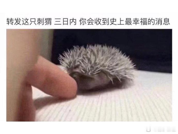 有毒！三十秒内转发有好运你的烦恼将一键清空私信许愿都会实现运势