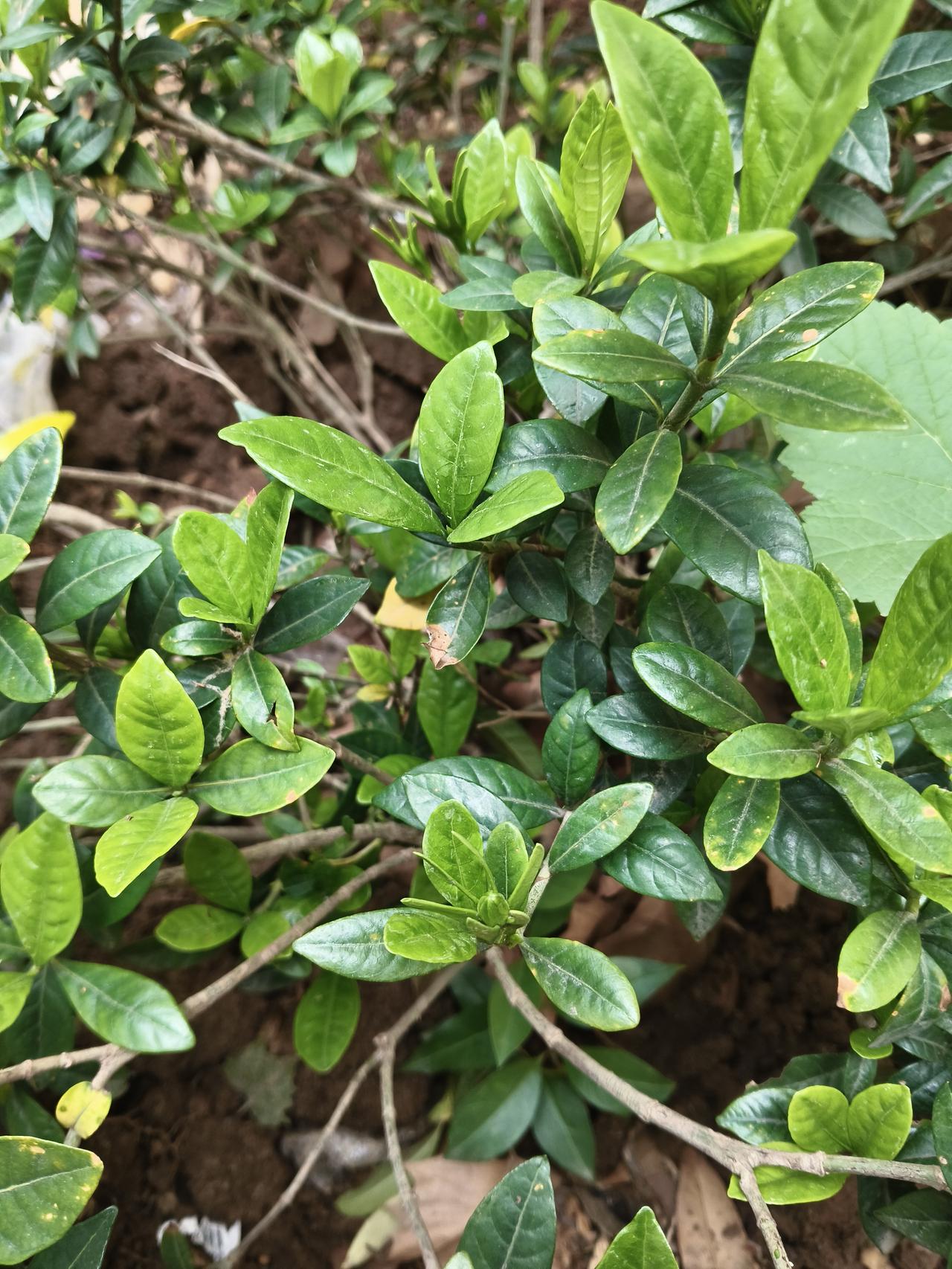 中小学取消重点班对学生有何好处孩子们可以快快乐乐的玩耍了，不需要天天卷成绩了，反