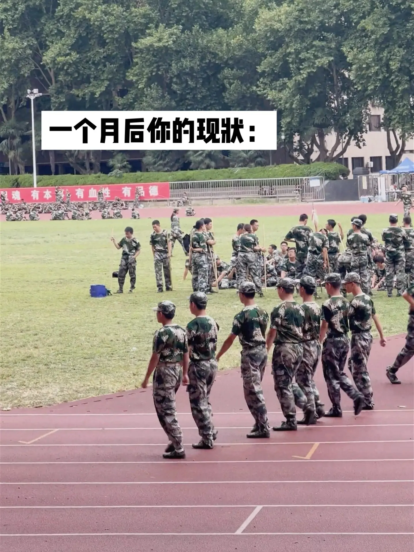 一个月后的现状：我也想要自由.