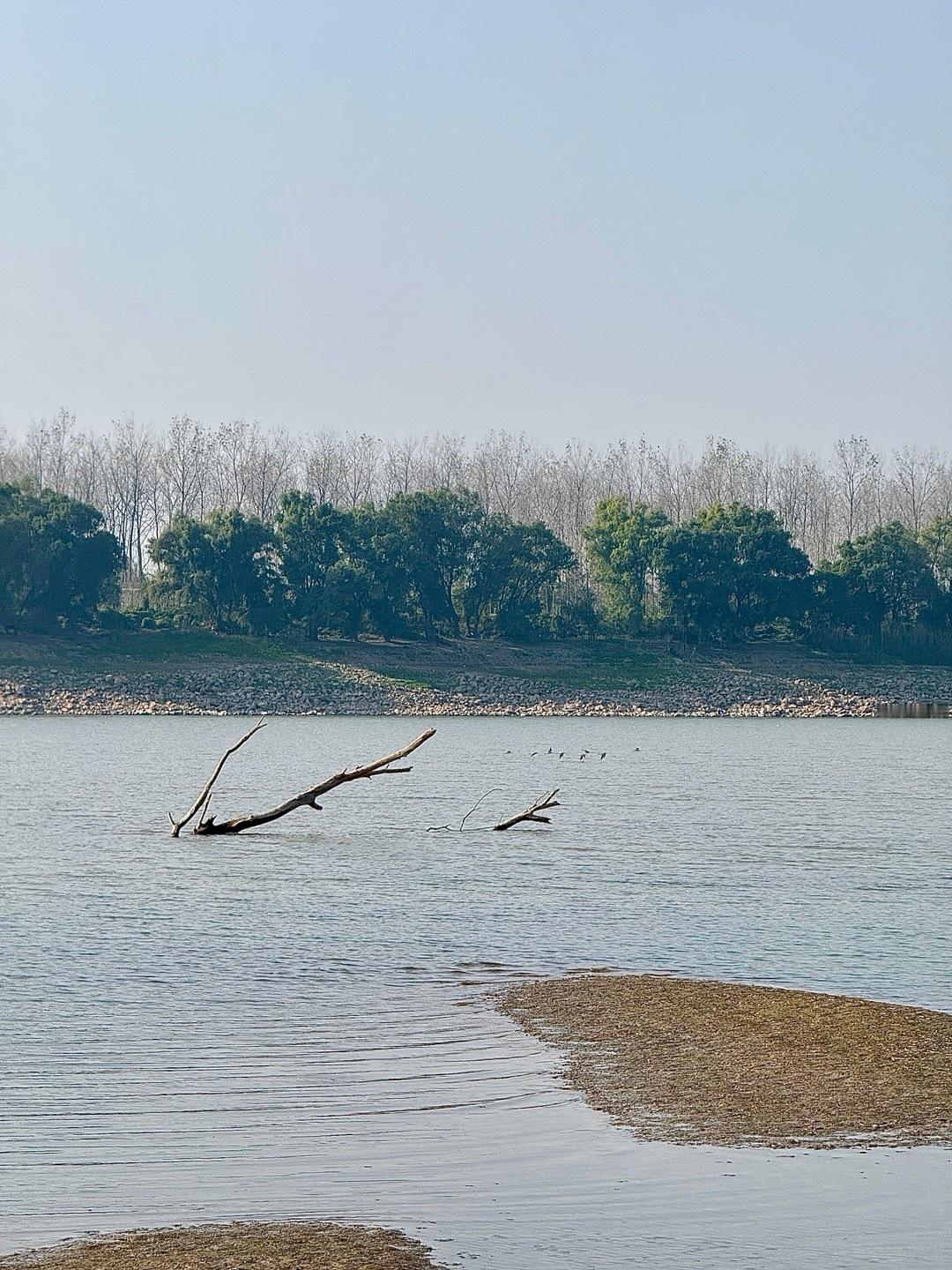 你能够深爱着一个人，却依然决定和他道别；你会时刻想念着一个人，可仍会为他不再出现