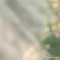 每日一善 心有微光，步步皆向远方。 