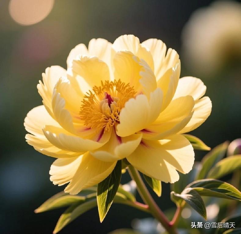 今天和婆婆用了三个小时
把家里存了许久的快递纸箱和塑料瓶子收拾出来了！
我负责把