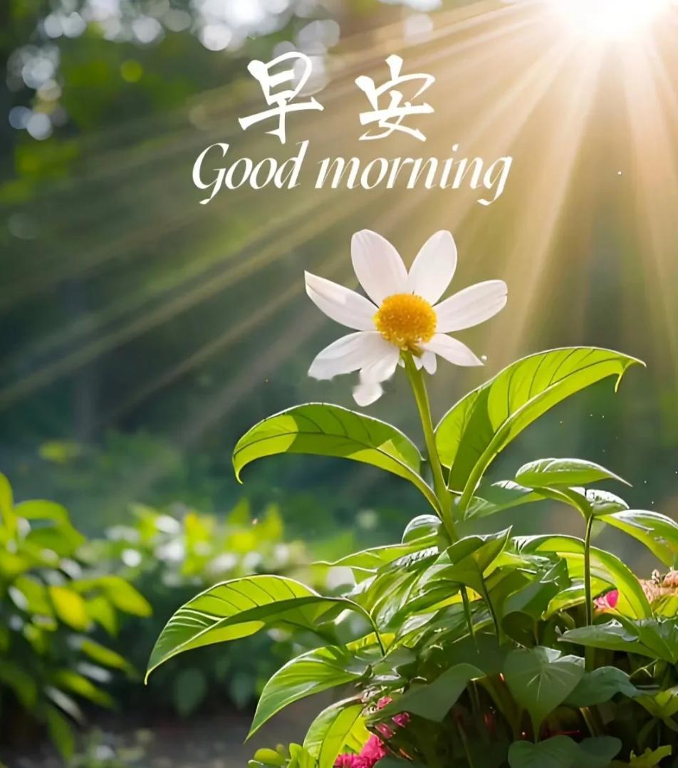 周一 勤奋是一种珍贵的品质，也是一种积极的生活态度。朝着目标不断前行，人生会更加