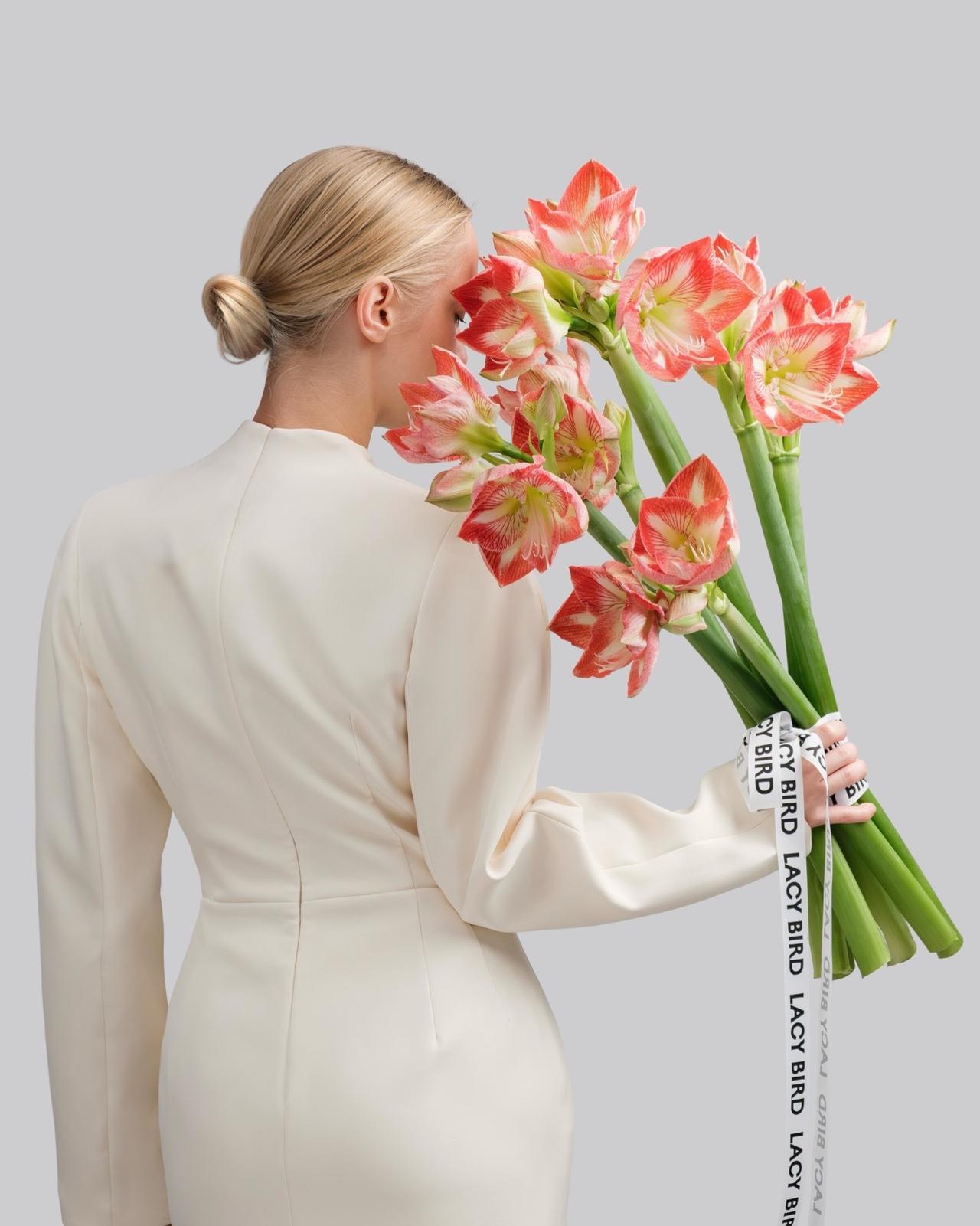 朱顶红开花了 朱顶红 瓶插花 鲜切花 好看的花一定要分享给你