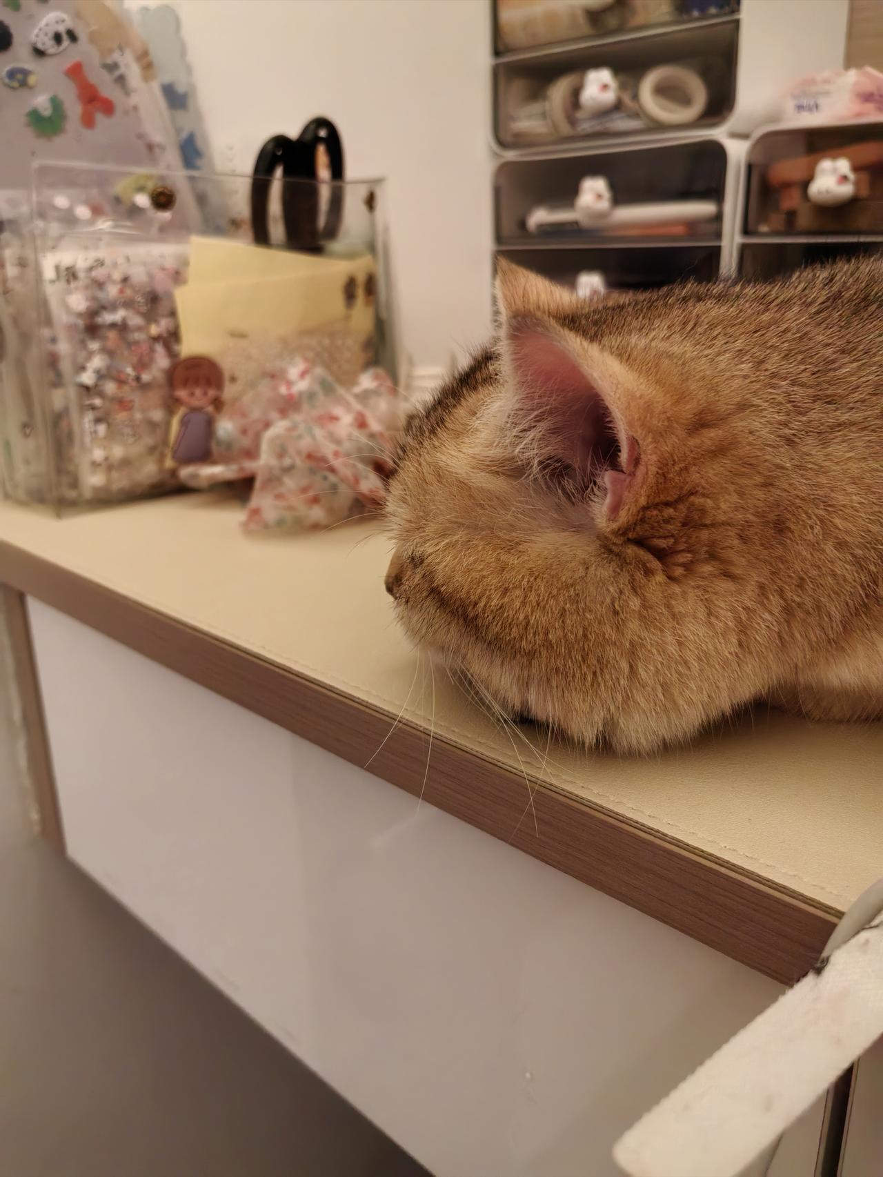 谁是史上最好的斯诺克选手?滚粗抚触油放醋鱼鱼鱼刚才让风吹新的人