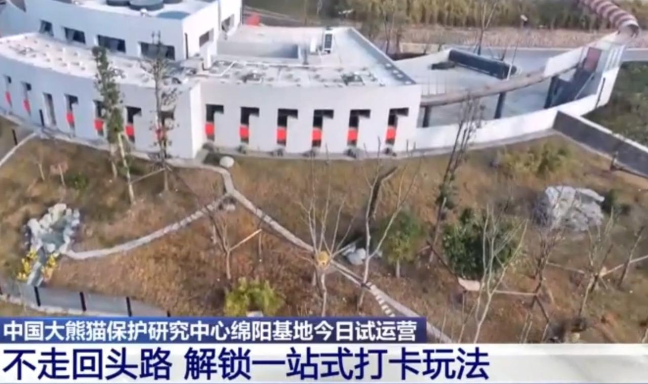 中国大熊猫保护研究中心绵阳基地正式试运营，这里的设计藏着满满的巧思。独特的游览路