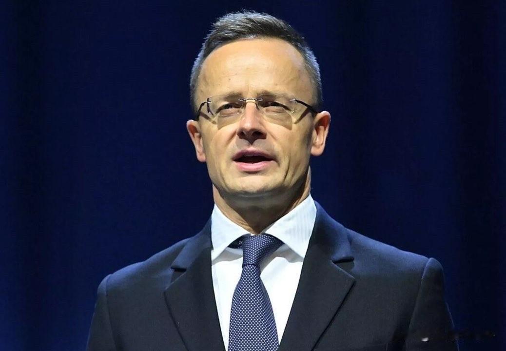 泽连斯基称，愿放弃加入北约，换取安全保障。匈牙利外长西雅尔多补刀，他认为，乌克兰