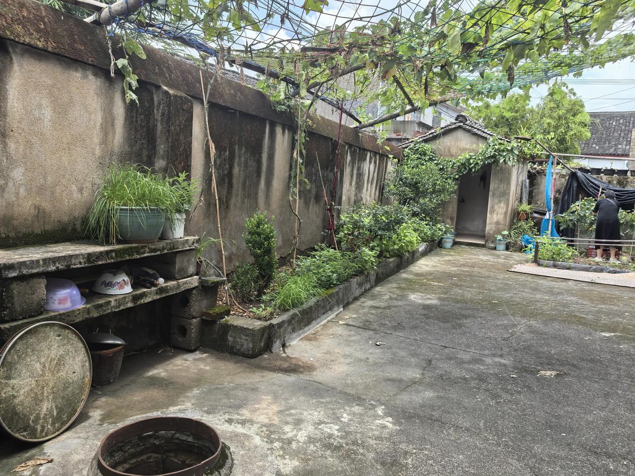 二舅是农民也是半个中草药专家
      今天农村亲戚家里有事，我们驱车近两小时