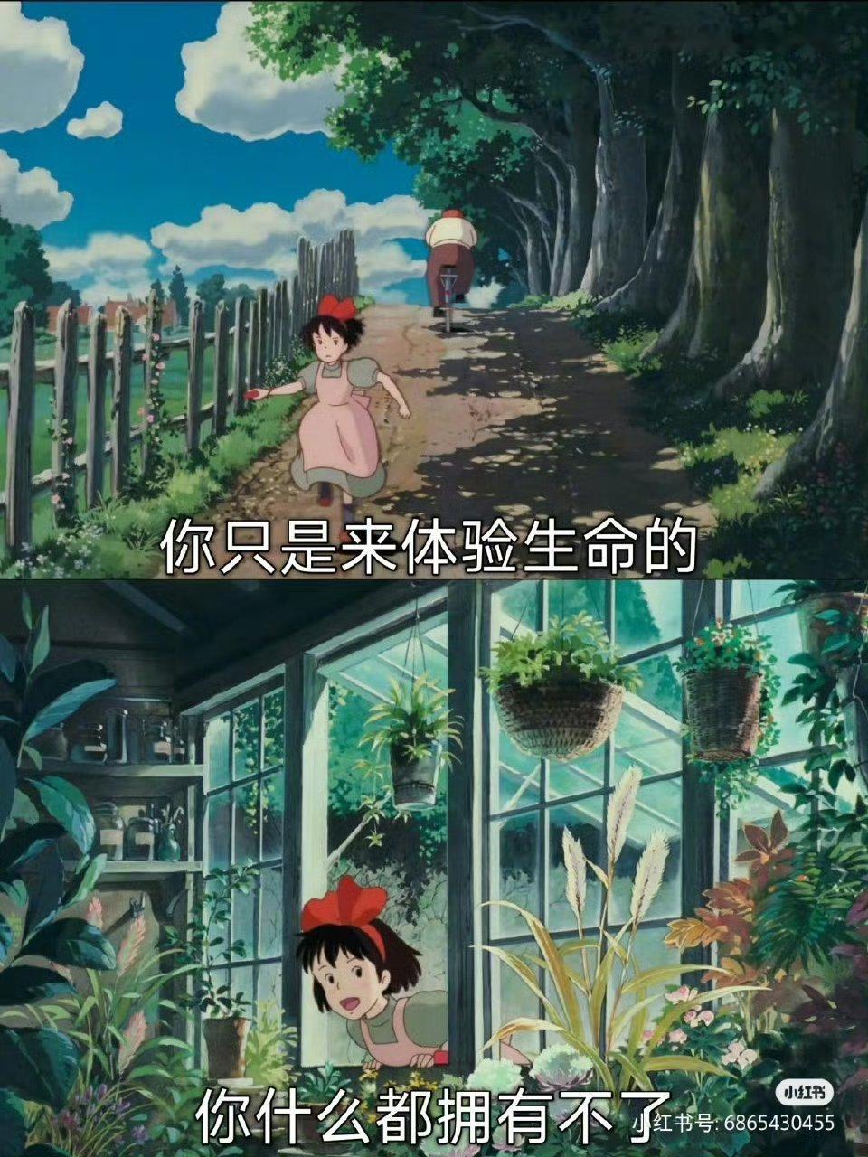 愿这些话能缓释你的压力 ​​​