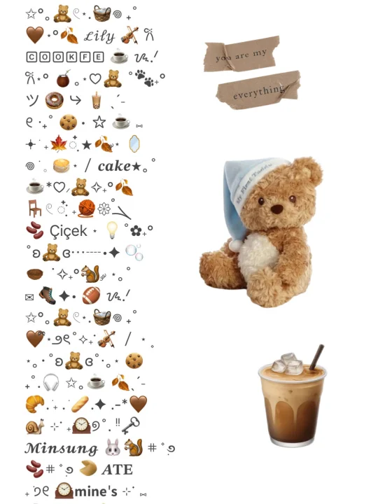 🧸𓏲⋆.🧺𖦹 ₊˚棕色𝑒𝑚𝑜𝑗𝑖 𐙚