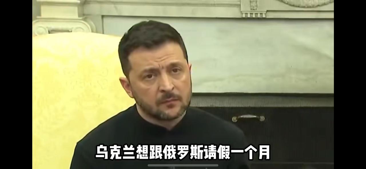 泽连斯基想跟普京请假一个月，出差去中东，帮美国和以色列打伊朗的无人机，因为他在俄
