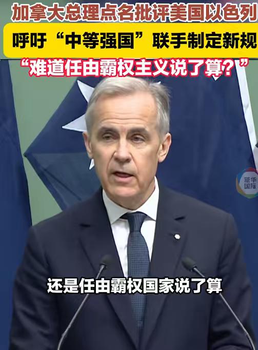 卡尼显然从伊朗的遭遇，看到了加拿大自身的危机，他反问世界：难道任由霸权主义说了算