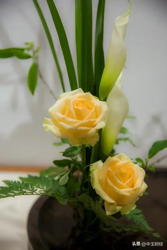 实际上，每个人都有多种爱好。比如，有人喜欢踢足球，有人喜欢打篮球，有人喜欢打羽毛