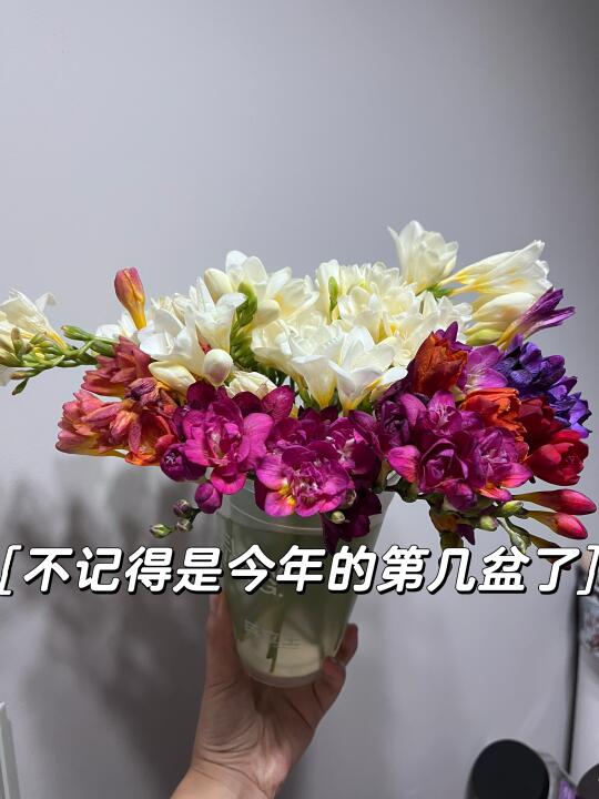养花人春天真的不想上班啊