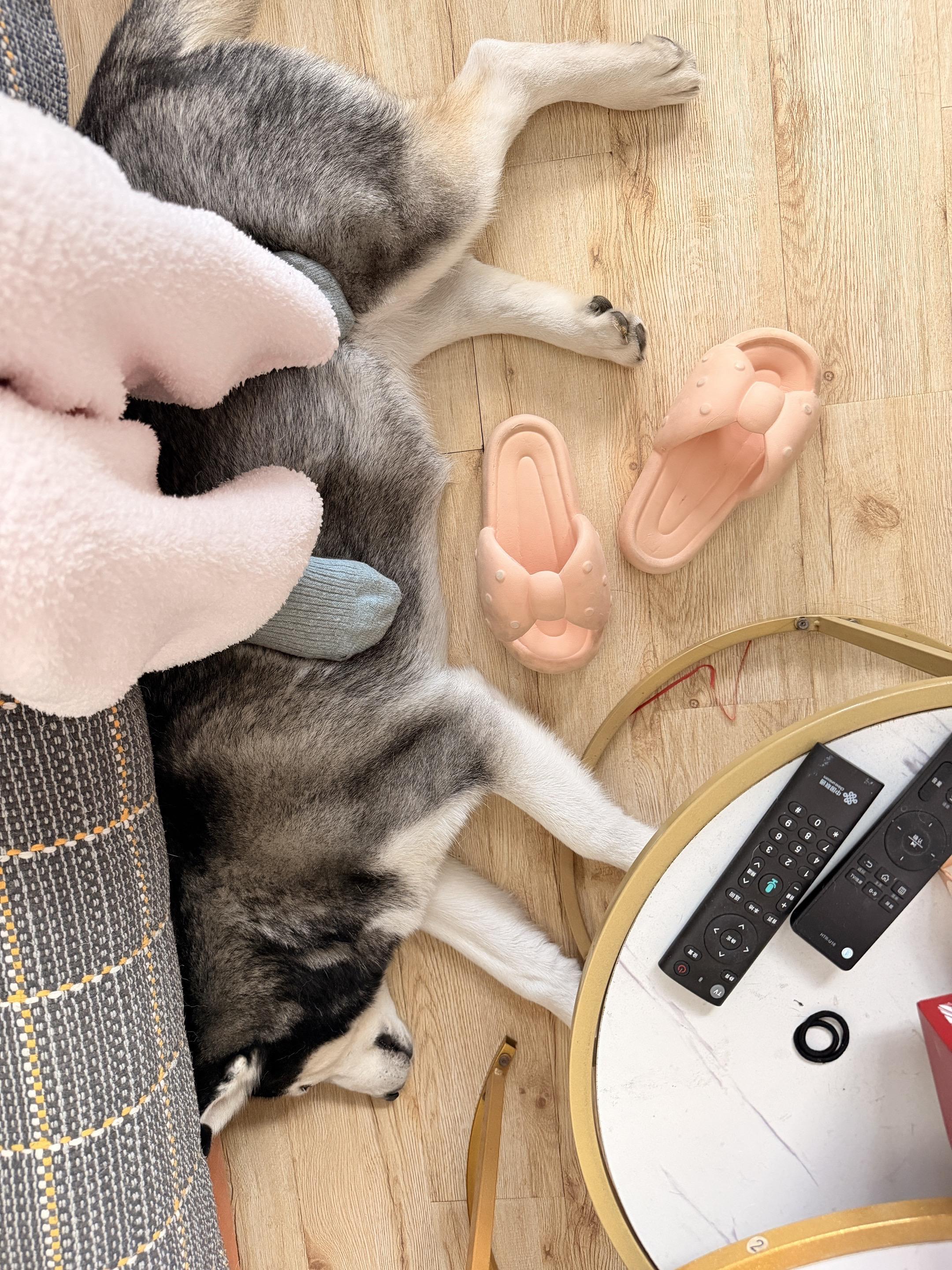 我的冬日暖脚宝