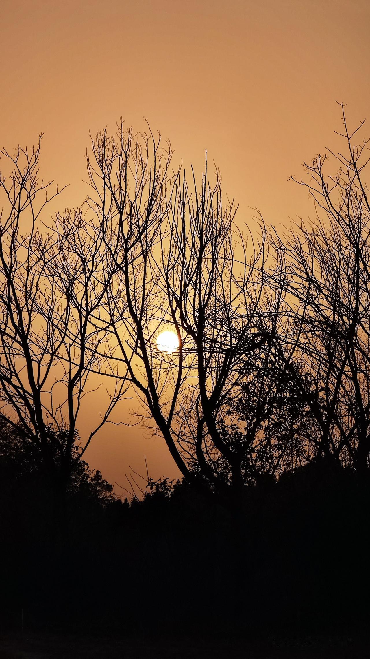 摔倒不会总有人扶，困难不会总有人帮，委屈不会总有人懂。路要自己走，事要自己扛。把