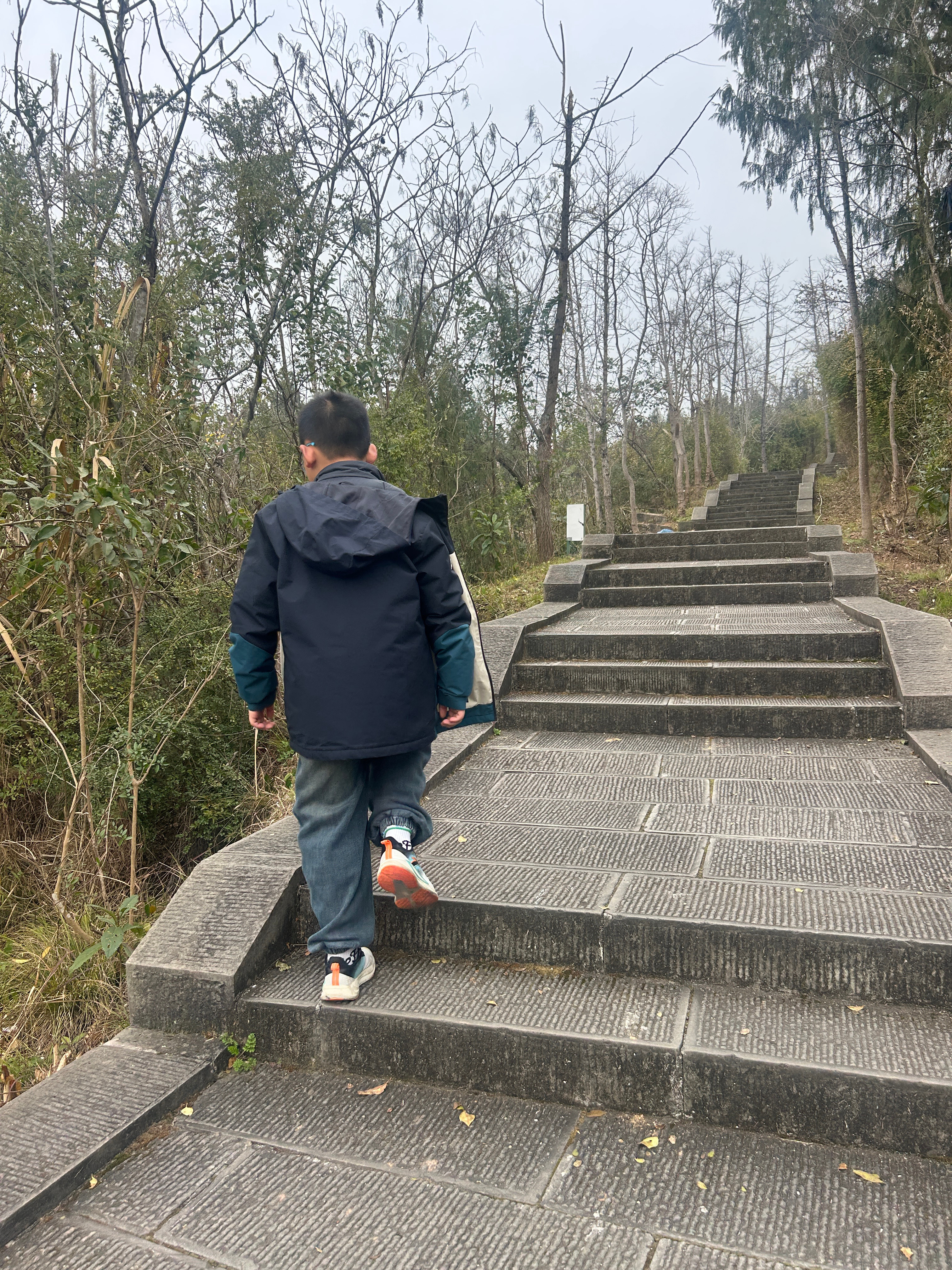 今天下午半天都干了啥？！1. 午饭后剪刘海洗头发年前理发果然又悄悄涨价啦（花了我