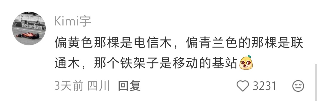 伪装成树的信号塔 