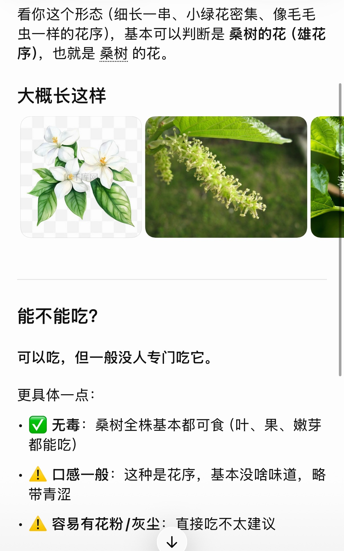 小区里还有个混血小女孩，真的太野性了，经常看到她一个人在小区里玩儿。我孩子以前跟