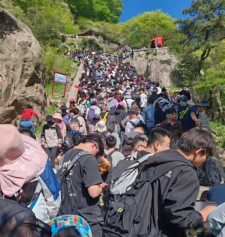 《鹧鸪天·五一登泰山》
欲揽云峰证岁遒，人潮卷浪没山丘。
身随踵接挪寸步，汗杂尘