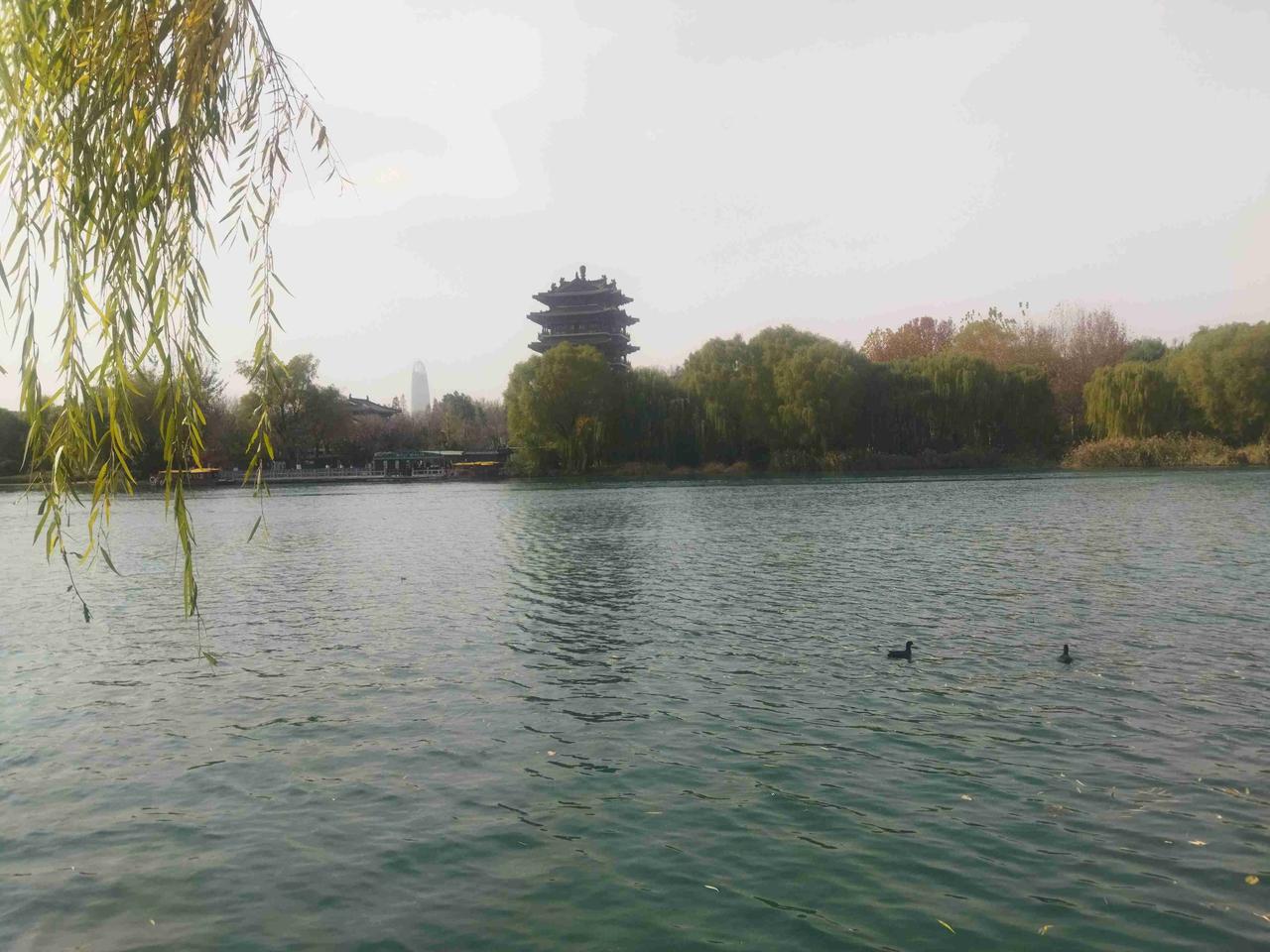 我的今日状态：😁轻松愉快
我这里的天气：☀️晴天