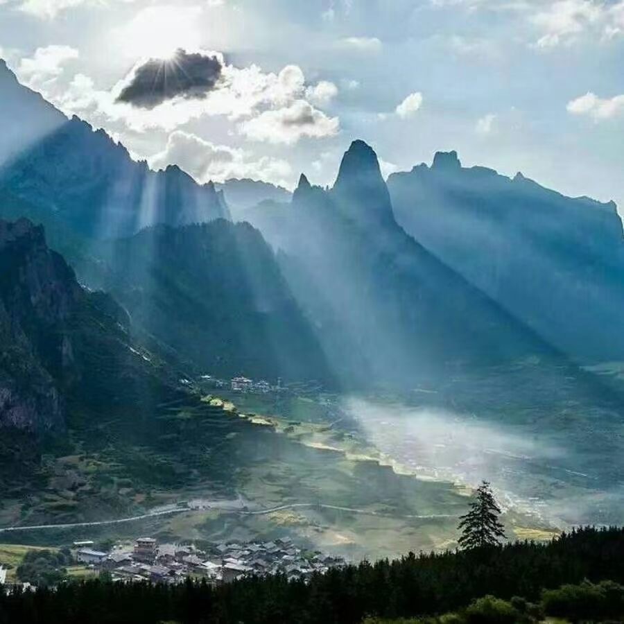 俄乌战争！对于地球村来说就是个切爪爪系列的延续，从欧洲、南美、中东一一验证中…。