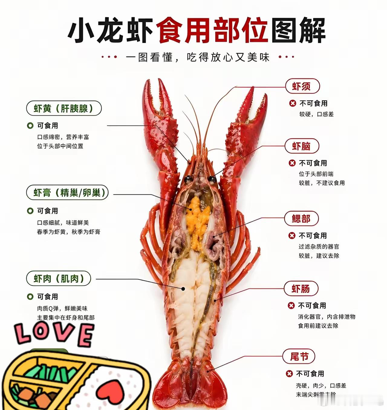 你吃小龙虾会吃虾黄（肝胰腺）吗？小龙虾
