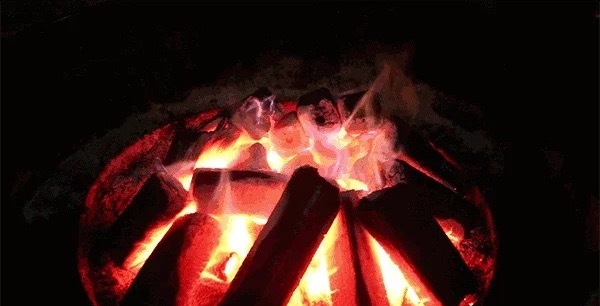 申请给虾颁个「最佳曼妙身材奖」，然后……吃掉！虾的身材很曼妙